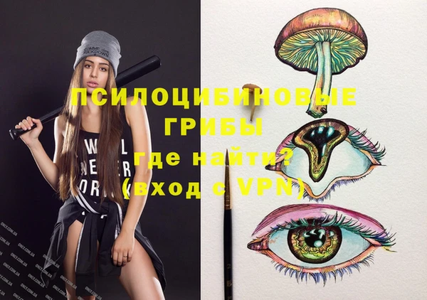 гашик Кулебаки