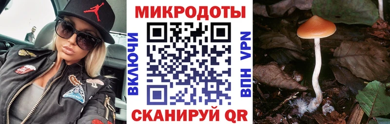 Галлюциногенные грибы Psilocybe  Купить где  Слободской 